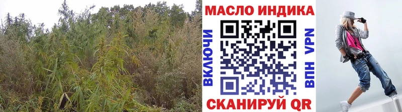 Купить закладки  Усть-Катав  ТГК THC oil 